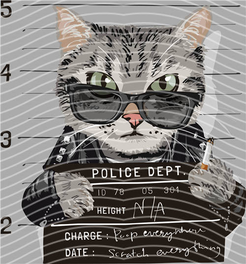 Street design-JT 4821